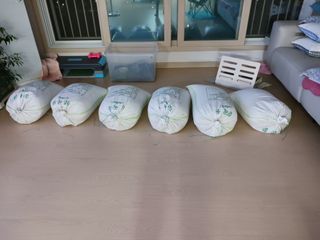 고추6833님의 참깨 · 자유게시판 작성글 사진