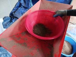 고추6833님의 참깨 · 자유게시판 작성글 사진