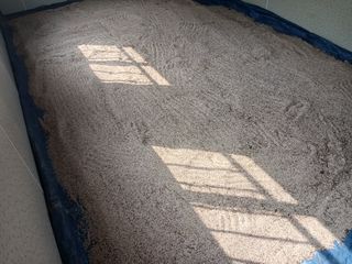 고추6833님의 참깨 · 자유게시판 작성글 사진