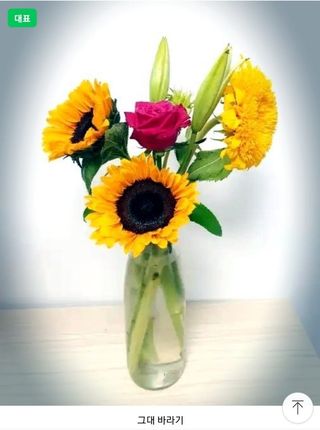 사랑꽃농장님의 자유주제 · 자유게시판 작성글 사진