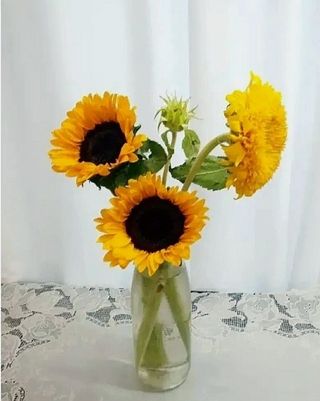 사랑꽃농장님의 자유주제 · 자유게시판 작성글 사진