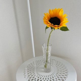 사랑꽃농장님의 자유주제 · 자유게시판 작성글 사진