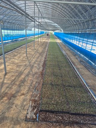 송광만님의 양파 · 자유게시판 작성글 사진