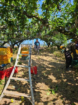 충남공주이도은님의 자유주제 · 자유게시판 작성글 사진