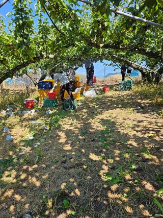 충남공주이도은님의 자유주제 · 자유게시판 작성글 사진