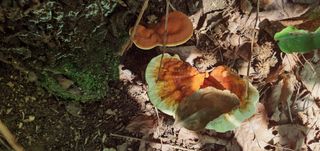 알 수 없음님의 자유주제 · 자유게시판 작성글 사진