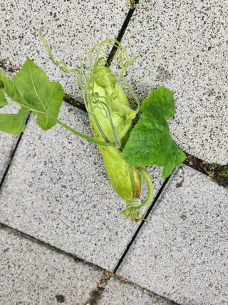 나래인테리어님의 자유주제 · 자유게시판 작성글 사진