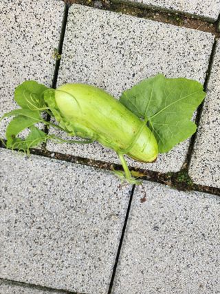 나래인테리어님의 자유주제 · 자유게시판 작성글 사진