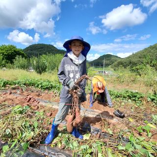 정연섭님의 자유주제 · 자유게시판 작성글 사진