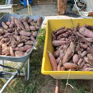 정연섭님의 자유주제 · 자유게시판 작성글 사진