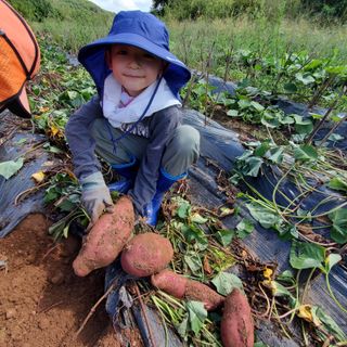 정연섭님의 자유주제 · 자유게시판 작성글 사진