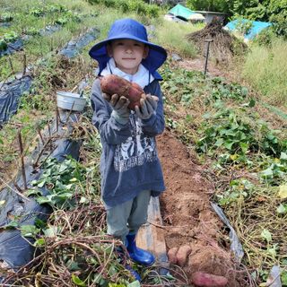 정연섭님의 자유주제 · 자유게시판 작성글 사진