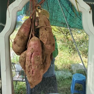 정연섭님의 자유주제 · 자유게시판 작성글 사진