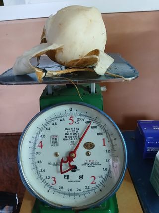 유석범님의 감자 · 영농일지 작성글 사진