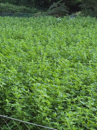 오나윤님의 자유주제 · 자유게시판 작성글 사진