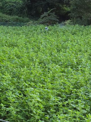 오나윤님의 자유주제 · 자유게시판 작성글 사진