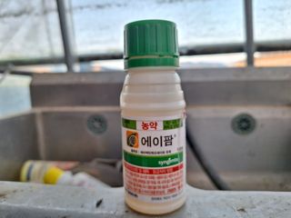 이상권님의 자유주제 · 자유게시판 작성글 사진