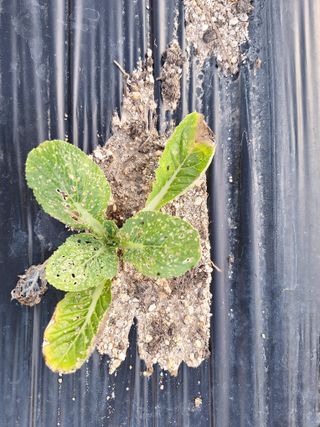 이상권님의 자유주제 · 자유게시판 작성글 사진