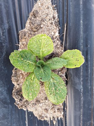 이상권님의 자유주제 · 자유게시판 작성글 사진