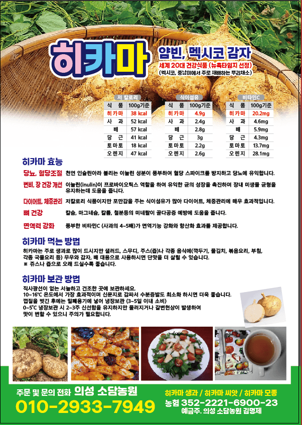 의성소담농원김명제님의 장터 판매 상품 [당뇨,고혈압,변비,다이어트에 특효 히카마(멕시코감자) 5K/10K] 첨부 사진