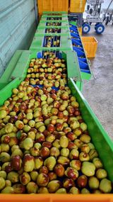 팜모닝 자유주제·자유게시판 게시글 이미지