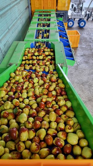 오학봉(멀티팜)님의 자유주제 · 자유게시판 작성글 사진