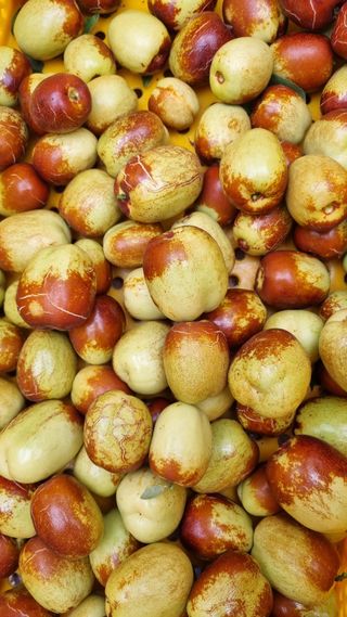 오학봉(멀티팜)님의 자유주제 · 자유게시판 작성글 사진