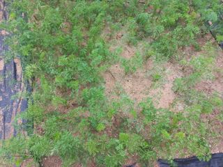 손종철님의 기타작물 · 영농일지 작성글 사진