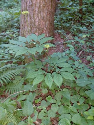 김기숙님의 기타작물 · 영농일지 작성글 사진