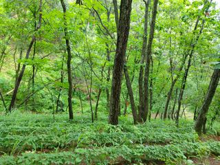 김기숙님의 기타작물 · 영농일지 작성글 사진