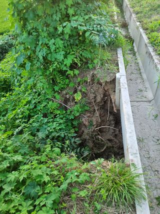플러스밸류님의 기타작물 · 영농일지 작성글 사진