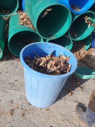 정봉원님의 고추 · 영농일지 작성글 사진