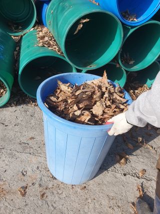 정봉원님의 고추 · 영농일지 작성글 사진