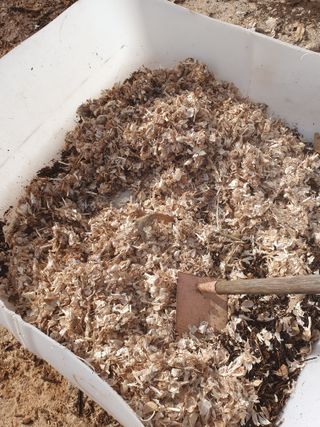 정봉원님의 고추 · 영농일지 작성글 사진