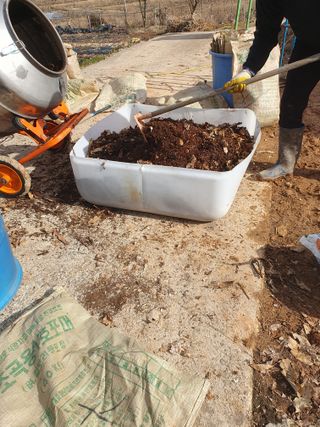 정봉원님의 고추 · 영농일지 작성글 사진