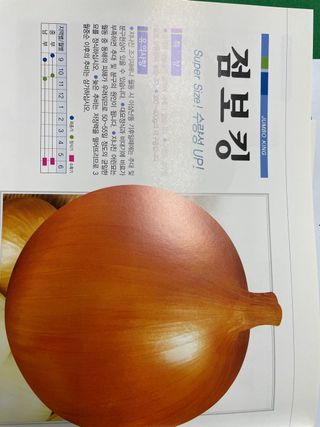 청운농원육묘장님의 양파 · 영농일지 작성글 사진