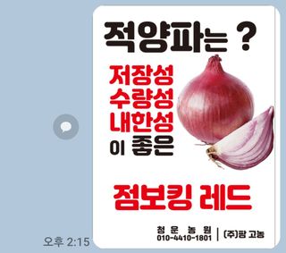 청운농원육묘장님의 양파 · 영농일지 작성글 사진