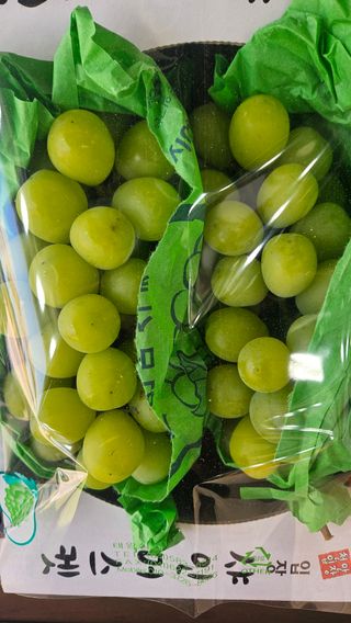 송석원님의 포도 · 영농일지 작성글 사진