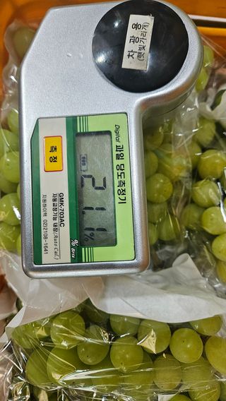 송석원님의 포도 · 영농일지 작성글 사진