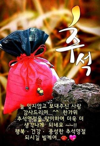 송석원님의 포도 · 영농일지 작성글 사진