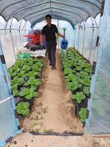 팜모닝 콩·영농일지 게시글 이미지