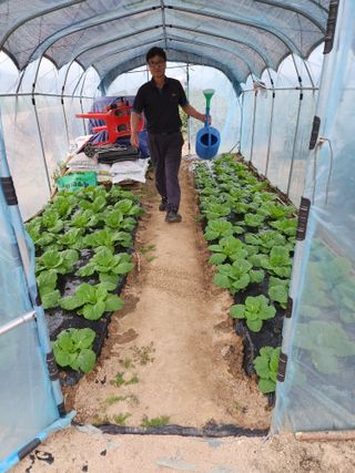 보은 김영순님의 콩 · 영농일지 작성글 사진