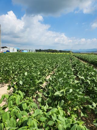 보은 김영순님의 자유주제 · 자유게시판 작성글 사진