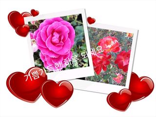 하은와송~♡♡♡~님의 자유주제 · 자유게시판 작성글 사진