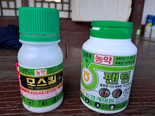 정호성님의 배추 · 영농일지 작성글 사진