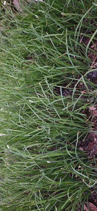 의령3대부자 솥바위님의 자유주제 · 자유게시판 작성글 사진