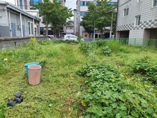 조상희님의 자유주제 · 자유게시판 작성글 사진