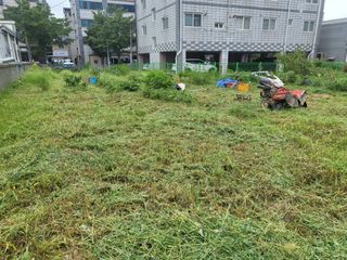 조상희님의 자유주제 · 자유게시판 작성글 사진