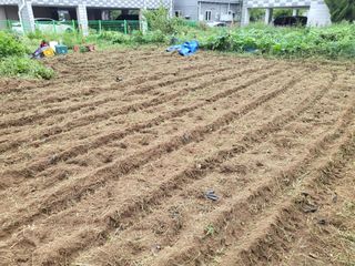 조상희님의 자유주제 · 자유게시판 작성글 사진