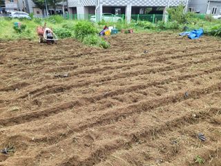 조상희님의 자유주제 · 자유게시판 작성글 사진